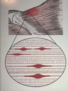 Petra van Scherpenseel – ontspanningstherapeut bij Vitaal Welzijn